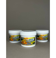 Prime Paste (Прайм Паст) паста профілактична без фтору, 100гр, 032267 Prime Dental