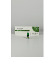 Gluma 2 Bond (глума 2 бонд), адгезив, рідина 4мл, 005612 Heraeus Kulzer