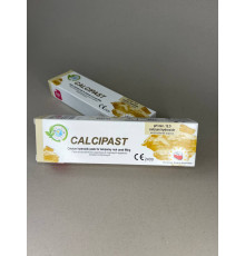 Calcipast (Калципаст) матеріал для тимчасового пломбування, шприц 2.1гр, 021399 Cerkamed