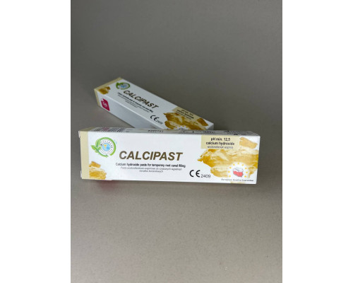 Calcipast (Калципаст) матеріал для тимчасового пломбування, шприц 2.1гр, 021399 Cerkamed